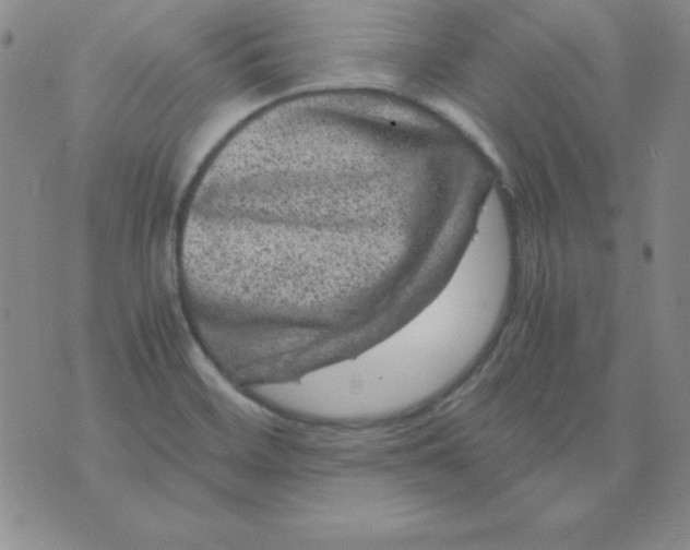 X0000075921468200610062155