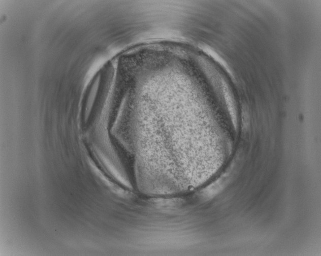 X0000075921469200610062155