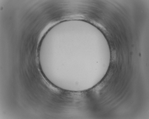 X0000075921470200610062155