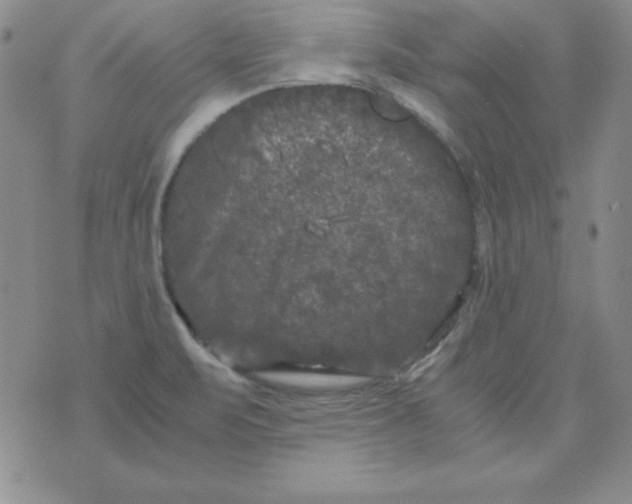 X0000075921471200610062155