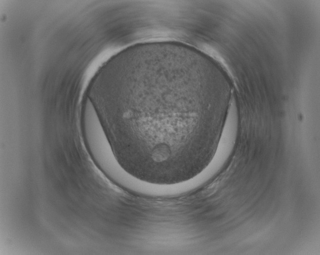 X0000075921472200610062155