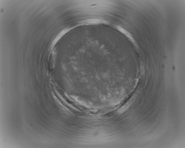 X0000075921473200610062155