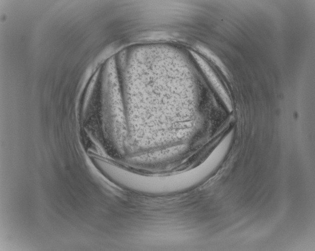 X0000075921475200610062155