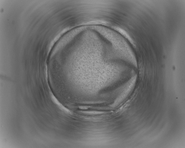 X0000075921476200610062155