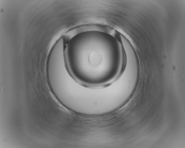 X0000075921477200610062155