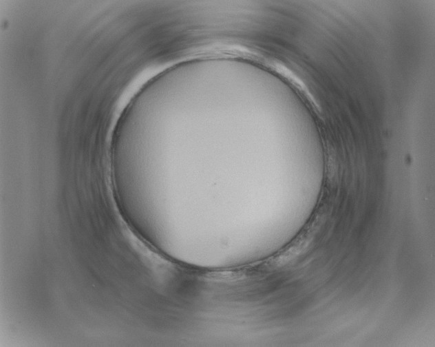 X0000075921478200610062155