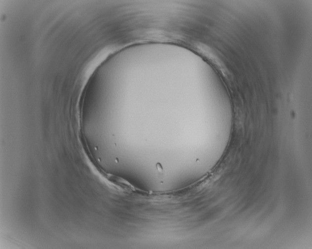 X0000075921479200610062155