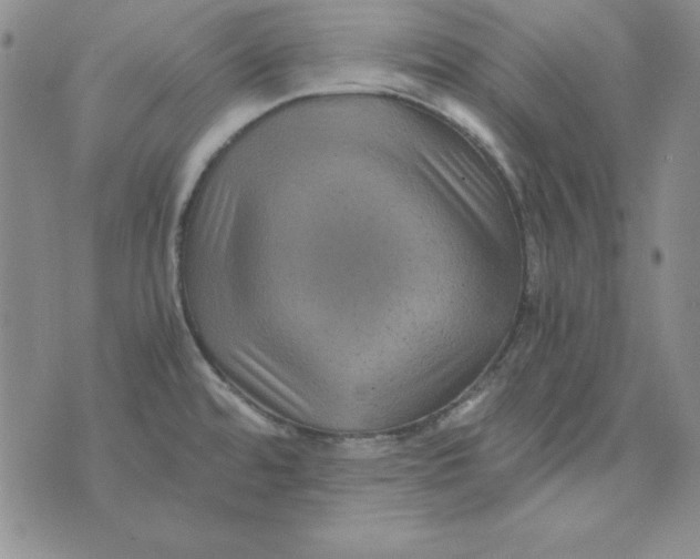 X0000075921480200610062155