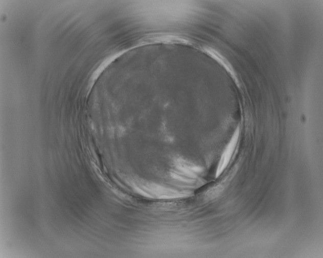 X0000075921481200610062155