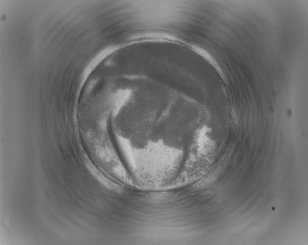 X0000075921482200610062155