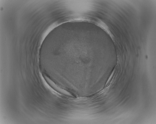 X0000075921483200610062155