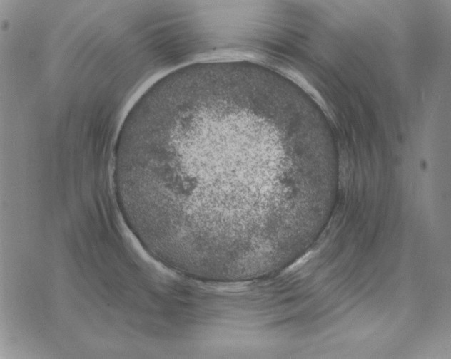 X0000075921484200610062155