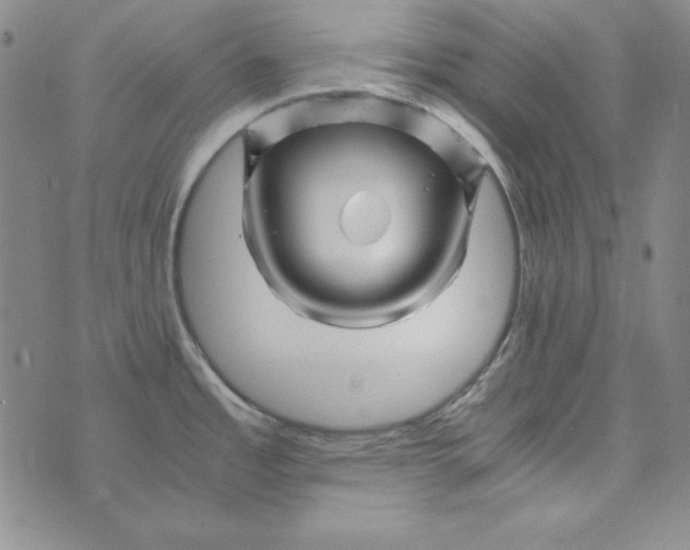 X0000075921485200610062155