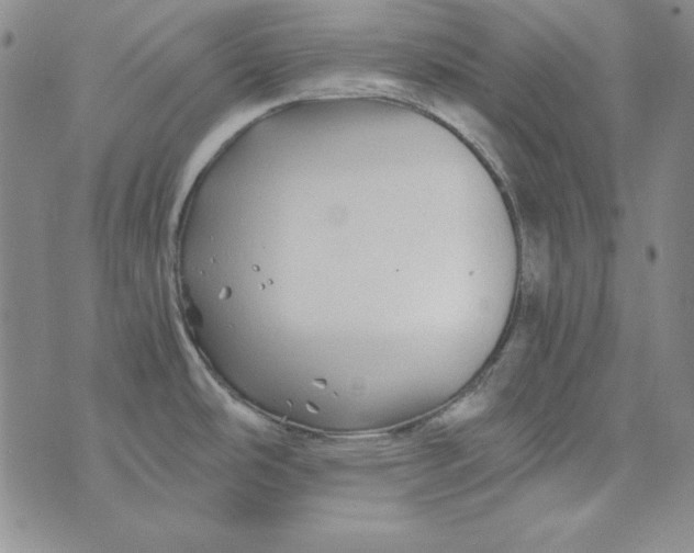 X0000075921486200610062155