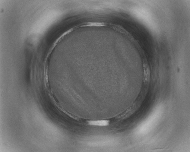 X0000075921487200610062155