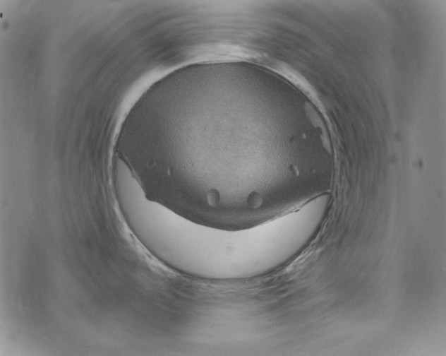 X0000075921488200610062155