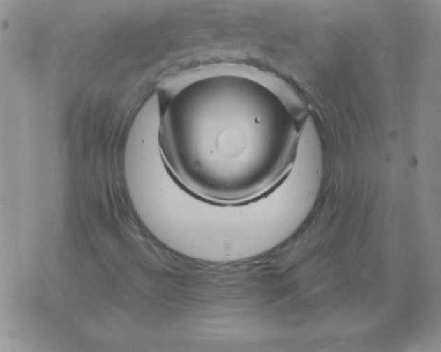 X0000075921492200610062154