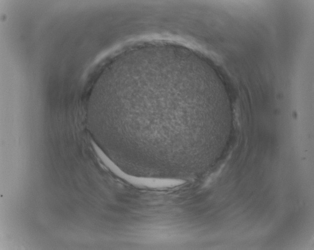 X0000075921494200610062154