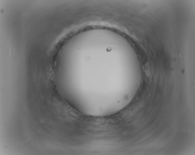 X0000075921495200610062154