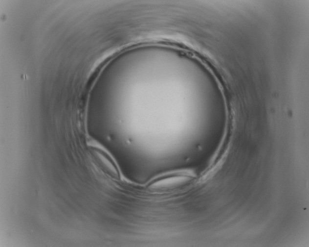 X0000075921497200610062154