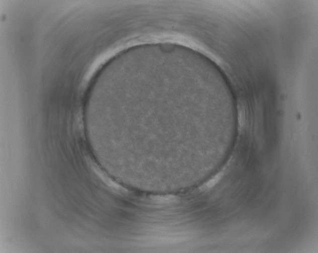 X0000075921498200610062154