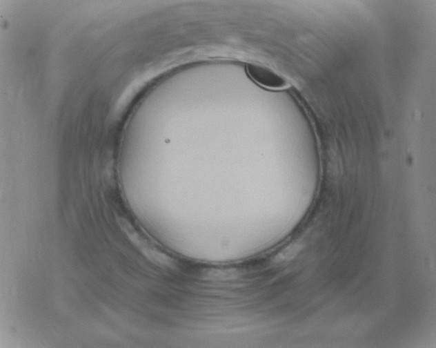 X0000075921499200610062154