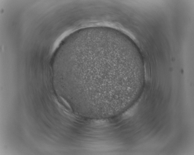 X0000075921501200610062154