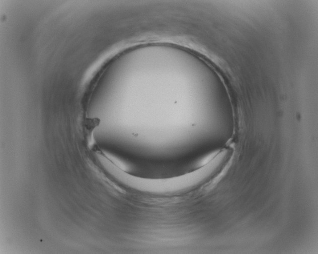 X0000075921502200610062154