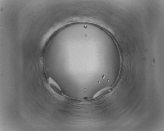 X0000075921503200610062154