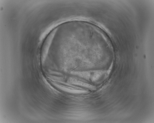 X0000075921504200610062154