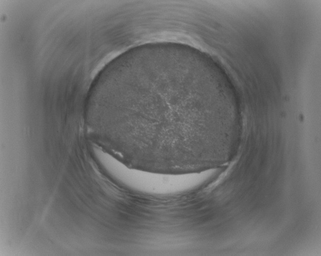 X0000075921505200610062154