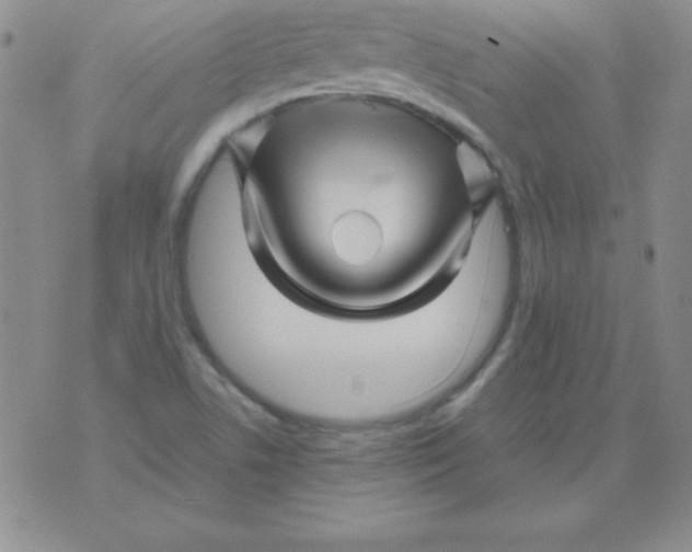 X0000075921506200610062154