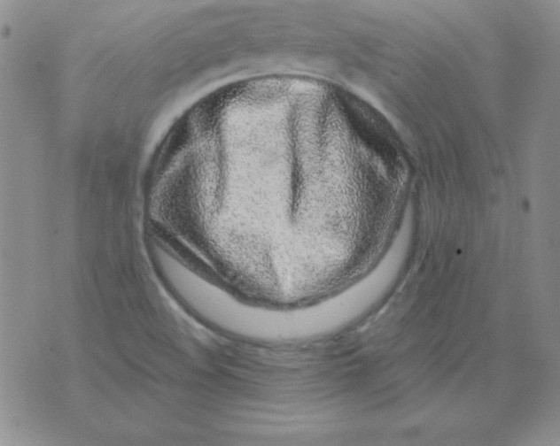 X0000075921508200610062154