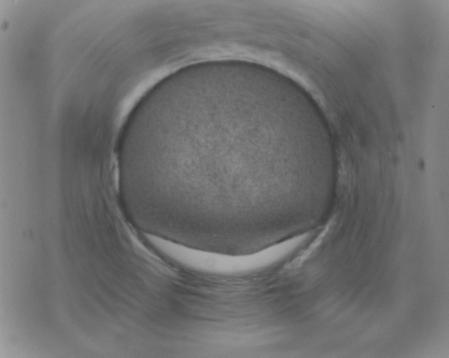 X0000075921509200610062154