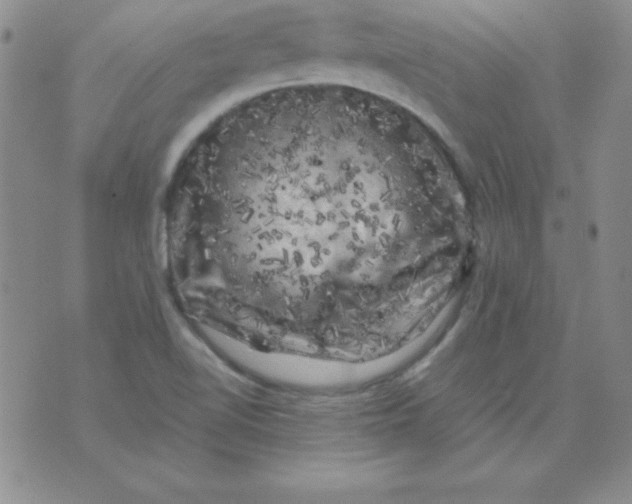 X0000075921510200610062155