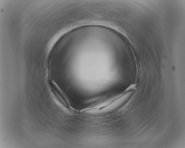 X0000075921511200610062155