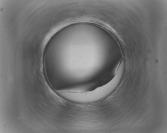 X0000075921512200610062155