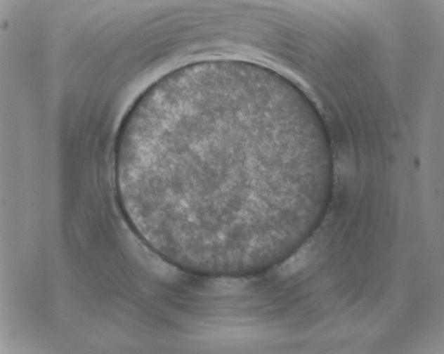 X0000075921514200610062155