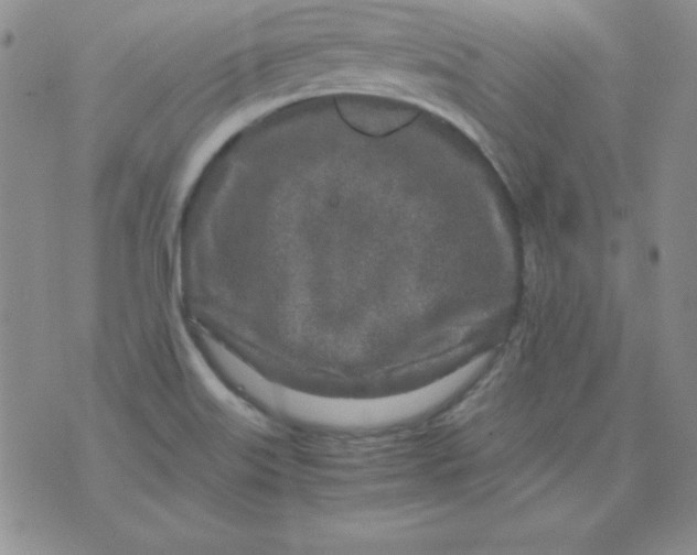 X0000075921515200610062155