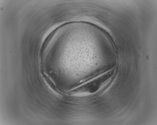 X0000075921517200610062155