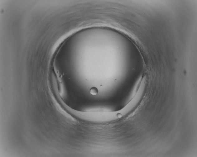 X0000075921518200610062155