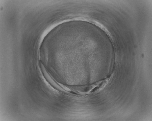 X0000075921520200610062155