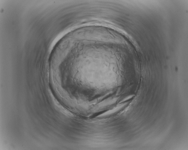 X0000075921522200610062155