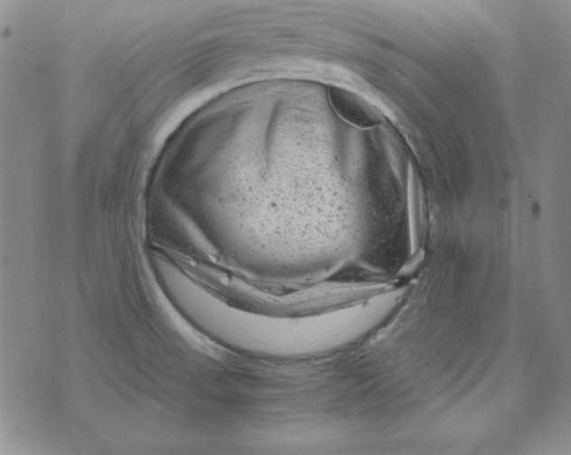 X0000075921523200610062155