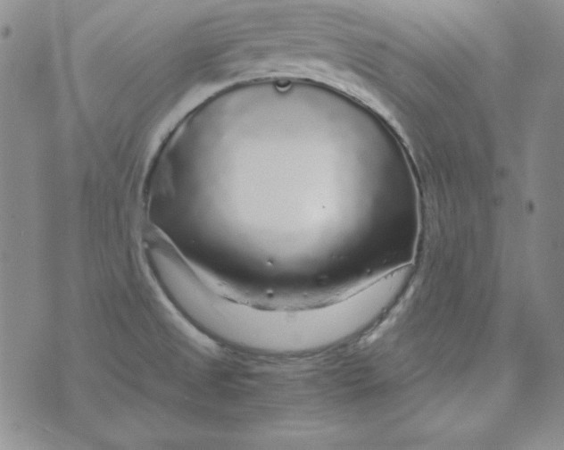 X0000075921525200610062155