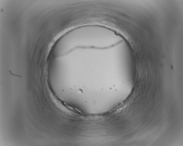 X0000075921526200610062155