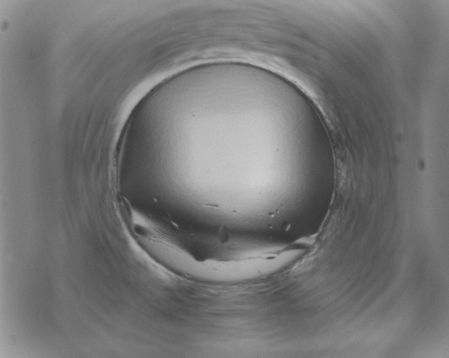 X0000075921527200610062155