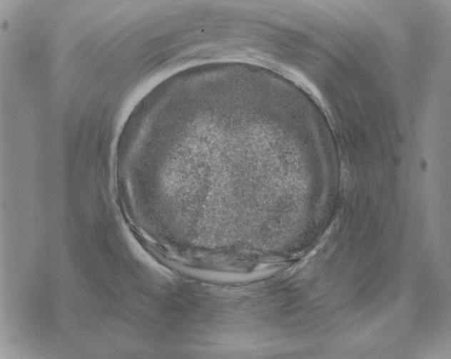 X0000075921528200610062155