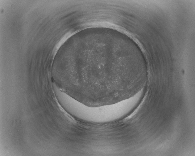 X0000075921529200610062155