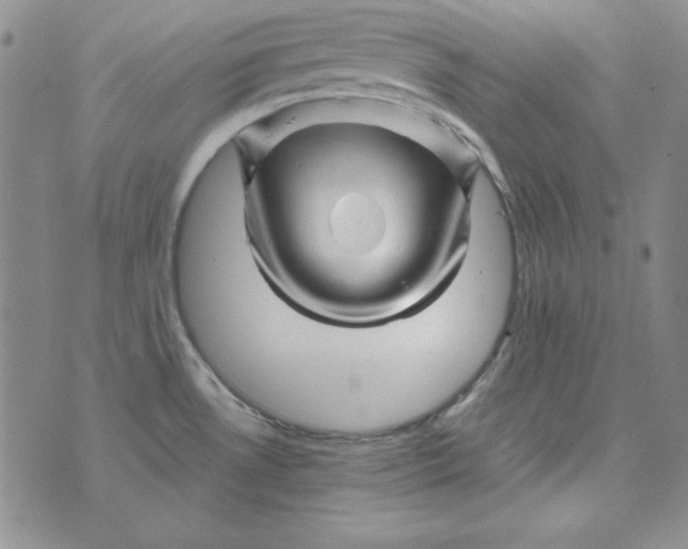 X0000075921530200610062155